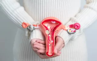 Woman holding uterus and ovaries model